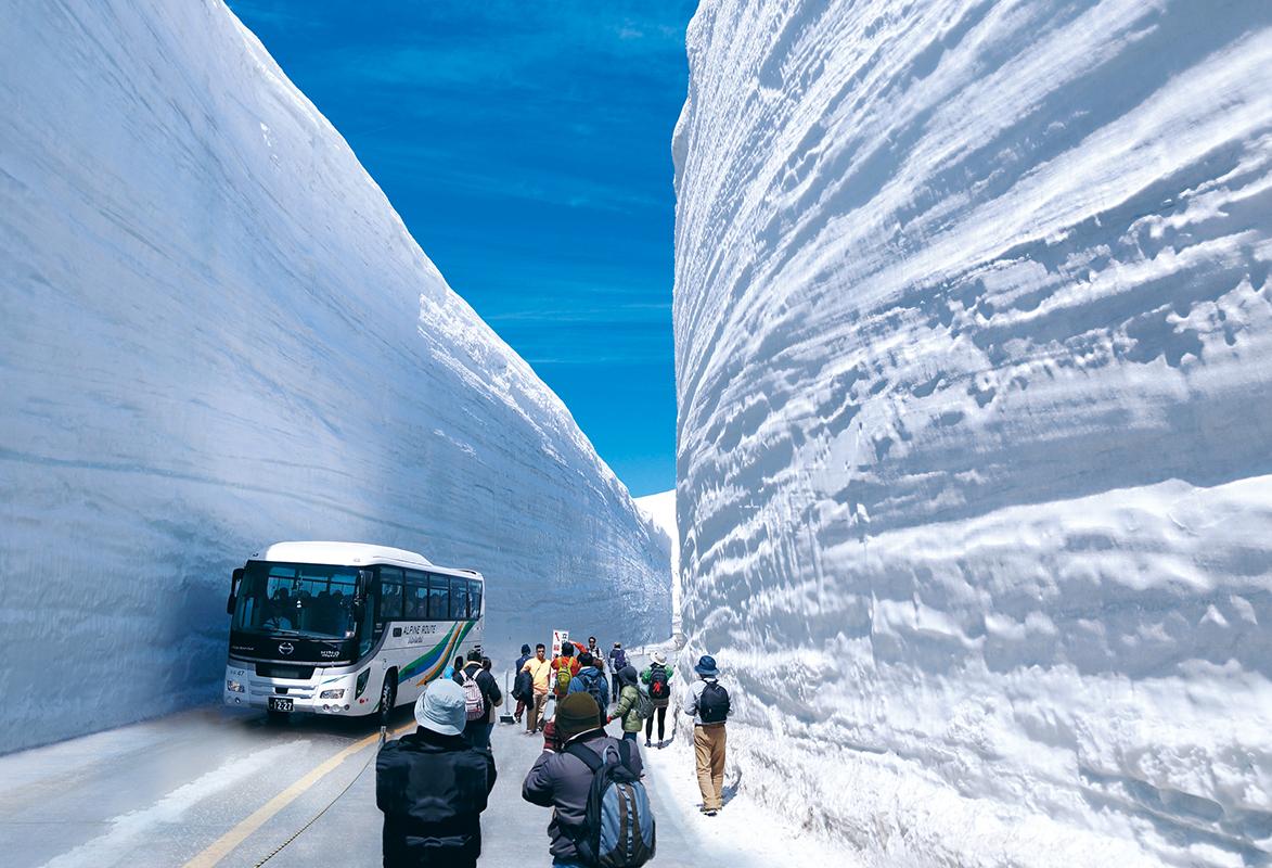 Tourists walking alongside towering snow walls at Tateyama Kurobe Alpine Route Japan