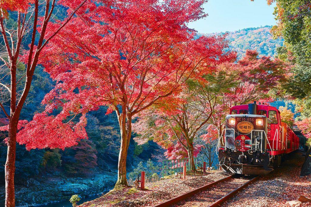The Historical Route: Sagano Scenic Railway