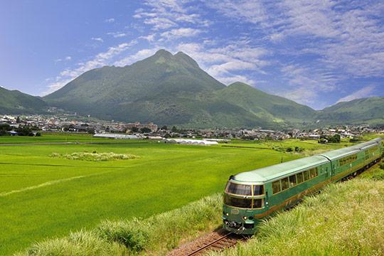 The Cultural Route: Yufuin no Mori