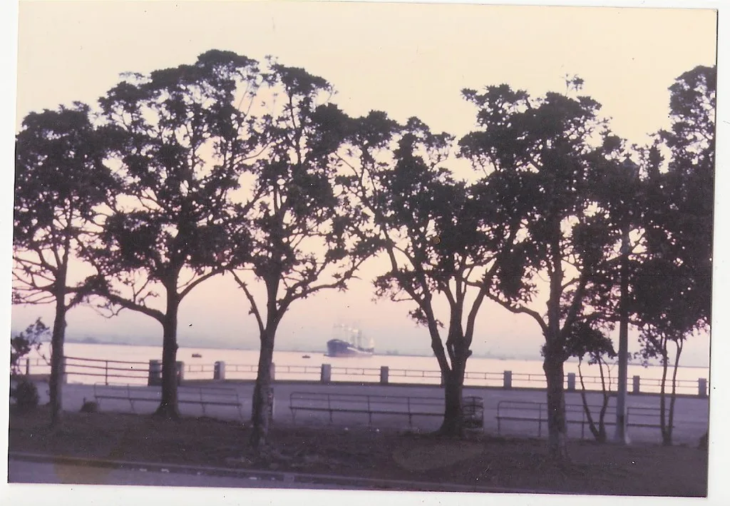 Yokohama harbor waterfront with autumn trees near Yamashita Park
