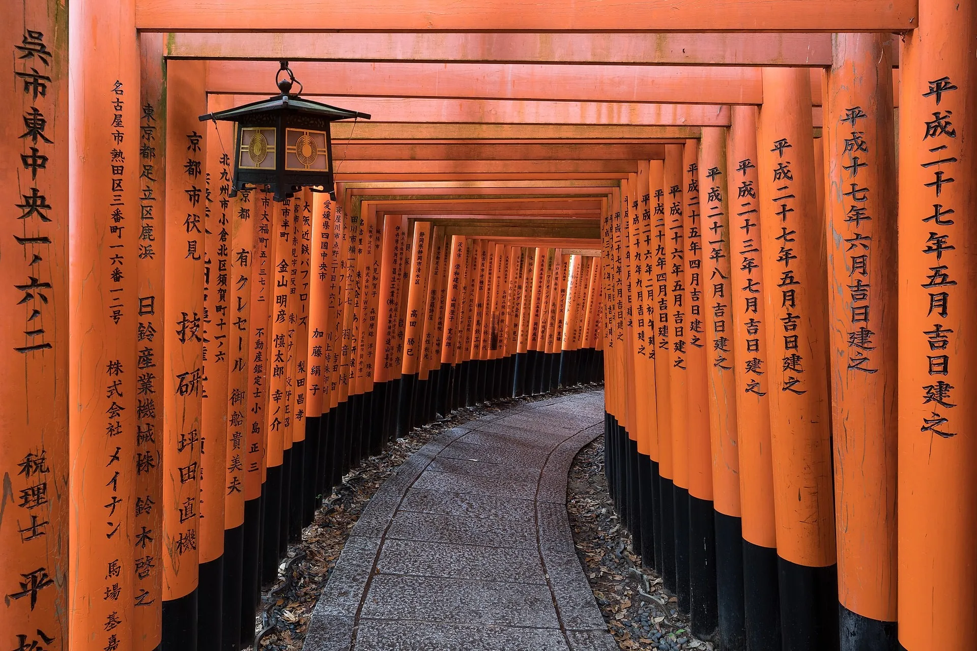 Vermilion torii path at Fushimi Inari Taisha in Kyoto
