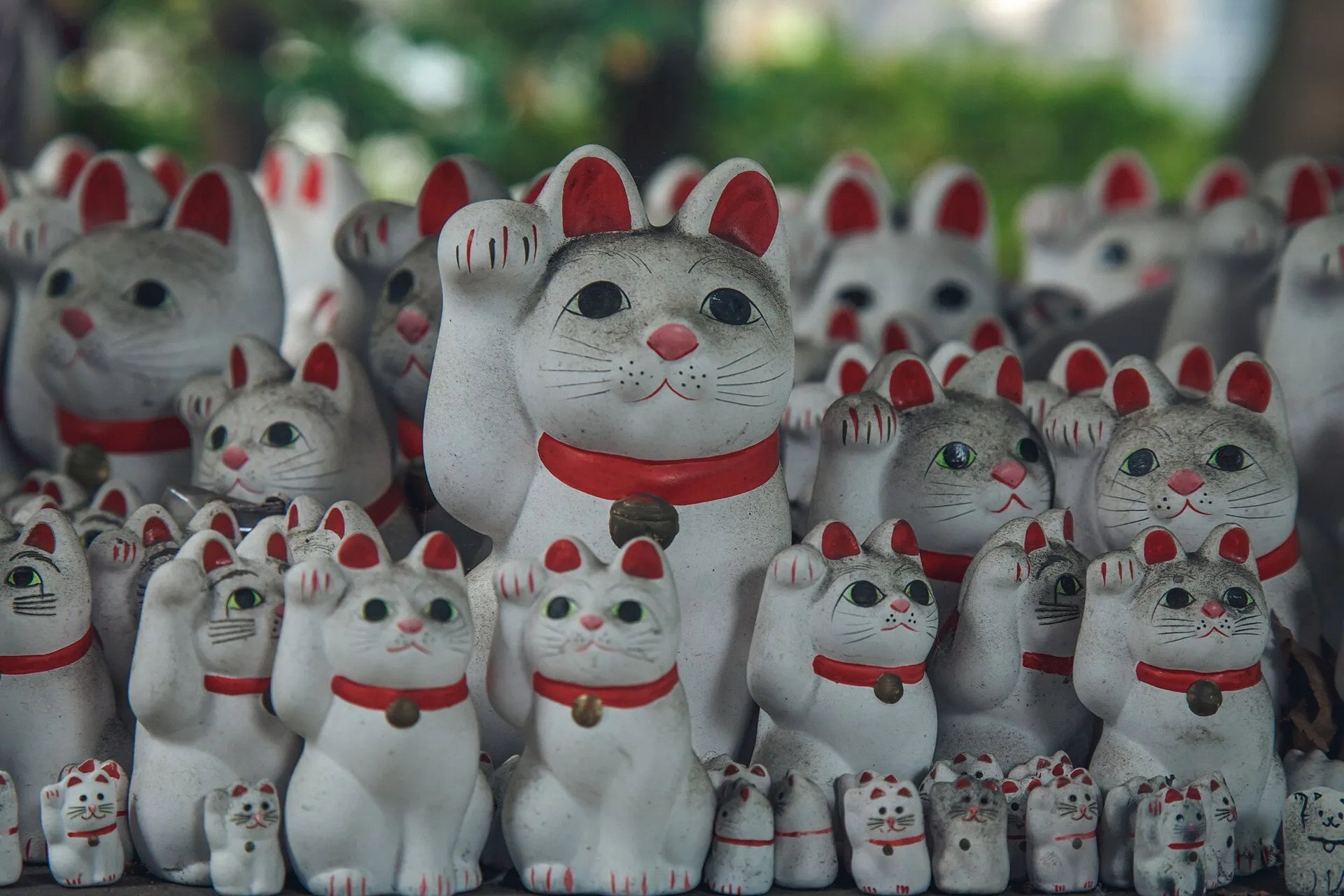 Rows of white maneki-neko lucky cat figurines at Gotokuji Temple in Tokyo